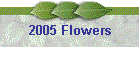 2005 Flowers